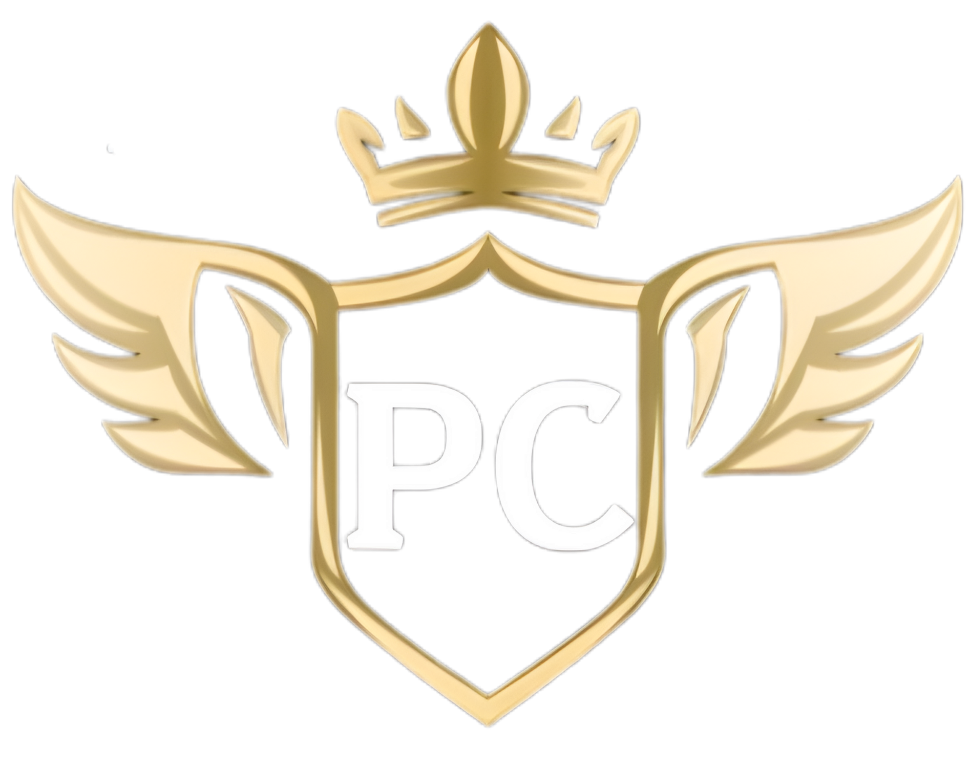 Prithvi Chemicals Logo